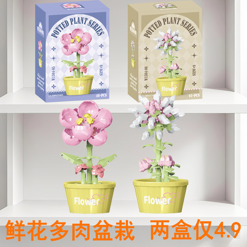 两盒4.9】diy创意桌面盆栽多肉花