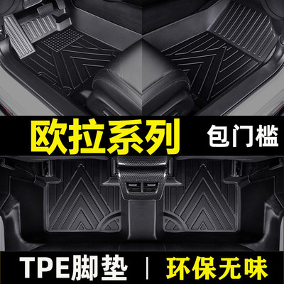 长城欧拉黑猫r1好猫IQ白猫20 19 21 22款新防水tpe包门槛汽车脚垫