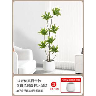 仿真绿植高端轻奢装饰摆件假竹造景室内客厅大型落地百合盆栽假树