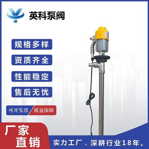 电动油桶泵SB-3-1插桶泵220V手提式抽液泵不锈钢防爆抽油泵880W