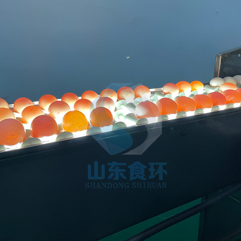 热销全自动洗蛋机鸭蛋供应清洗线鸡蛋自动清洗机器厂家鸡蛋