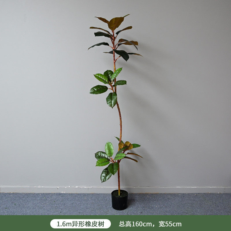 仿真橡皮树植物假绿植盆栽彩叶玉兰造型网红商场橱窗摆件厂家直售