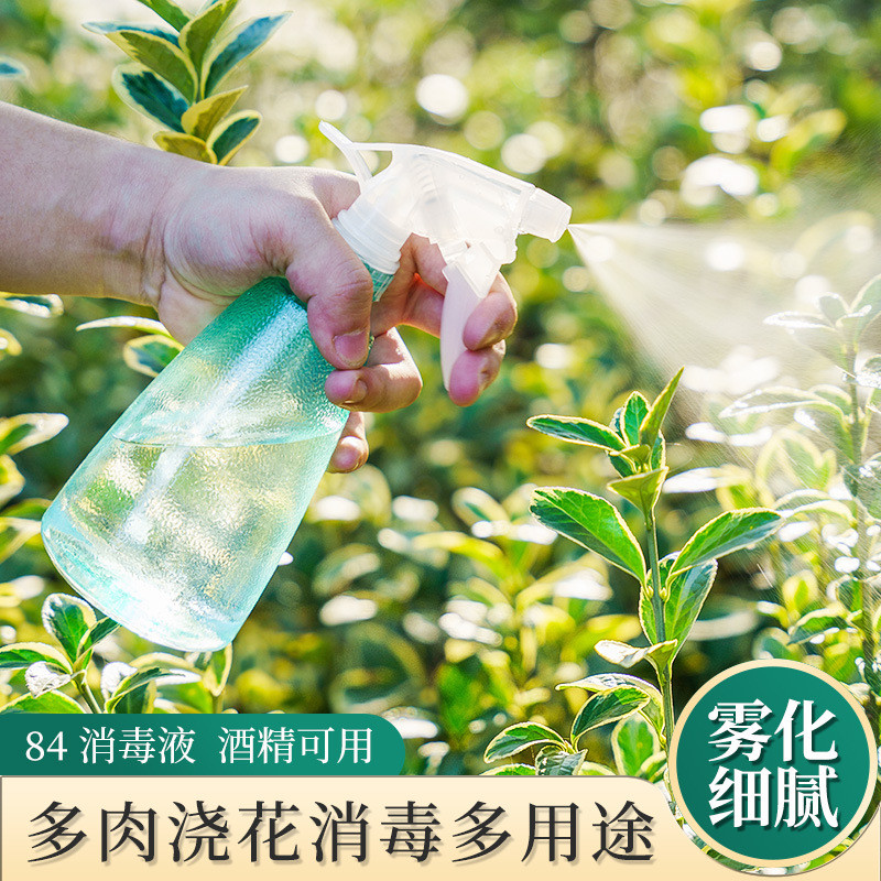 芷郁小喷壶喷壶喷雾瓶防疫用品浇水壶防疫消毒喷水壶喷雾器500ML