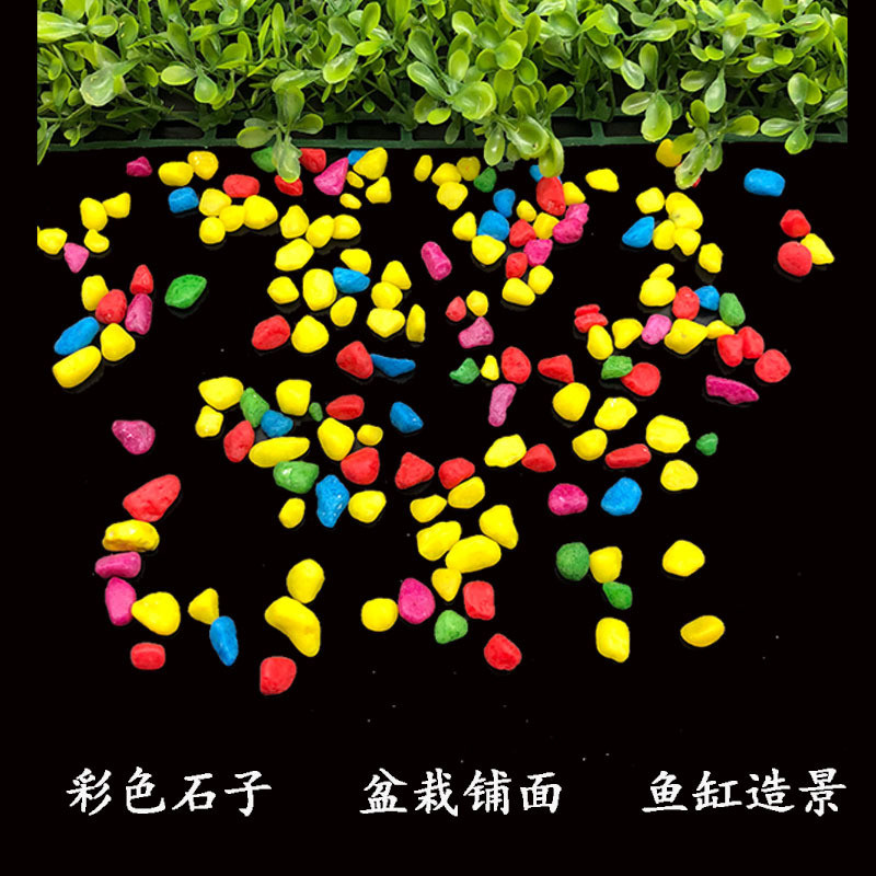 热销供应彩石石头多肉铺面石鱼缸造景园艺装饰染色五彩子