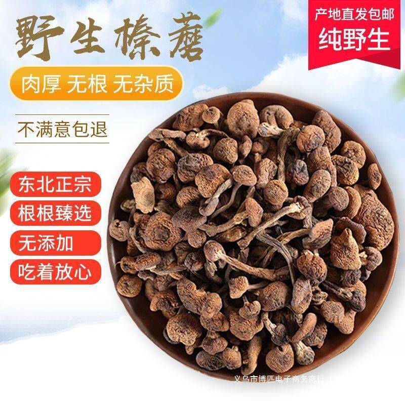 新货直供零售东北直供钉榛菇榛蘑干货野生长白山榛蘑蘑菇新货炖小