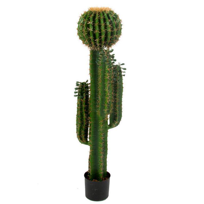 200厘米仿真多肉植物带球仙人掌3手盆栽景奇妙儿童摄影道具造景,鲜花速递/花卉仿真/绿植园艺,多肉植物,淘宝优惠券,粉丝福利购,淘宝优惠卷