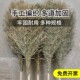 户外环卫大扫把竹扫把老式 扫笤马路工地竹叶大扫把扫院子竹扫帚