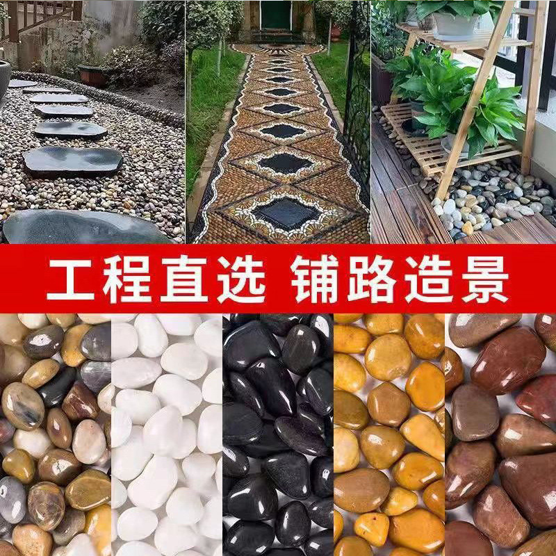 鹅卵石造景铺路园林庭院石头砾石天然盆栽装饰黑色抛光雨花石