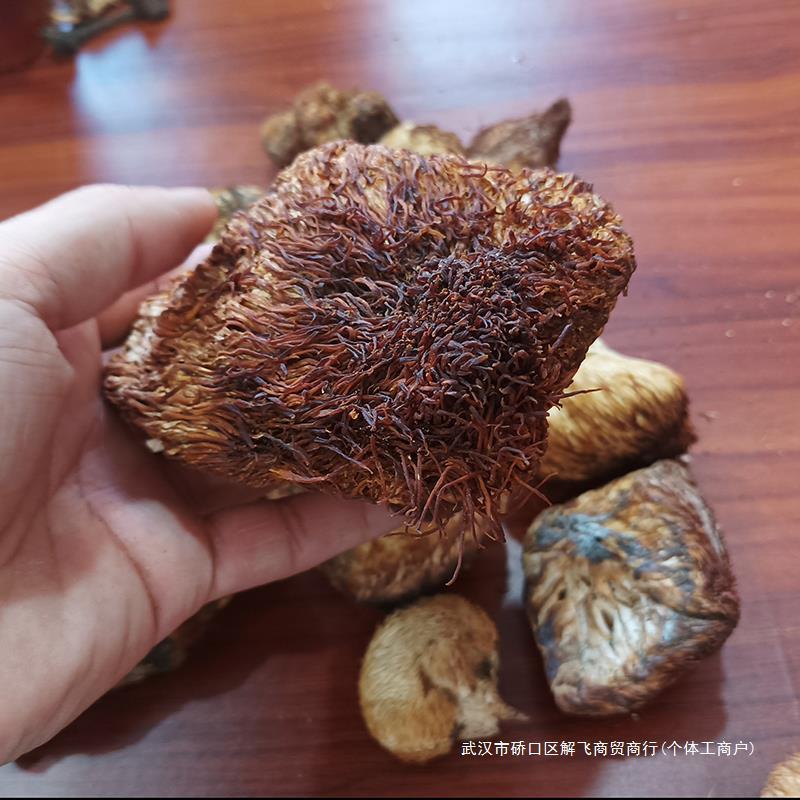新货野猴头菇代打粉谭小六23年新货东北蘑菇干长白山猴头菌早餐