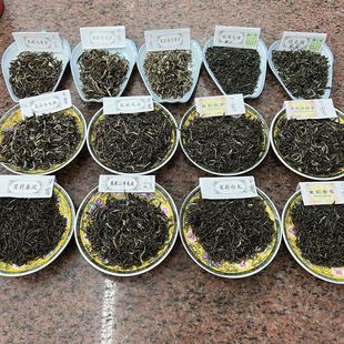 新货张一元茉莉花茶官方旗舰店张一元茶叶毛尖龙豪香雪高端浓香型