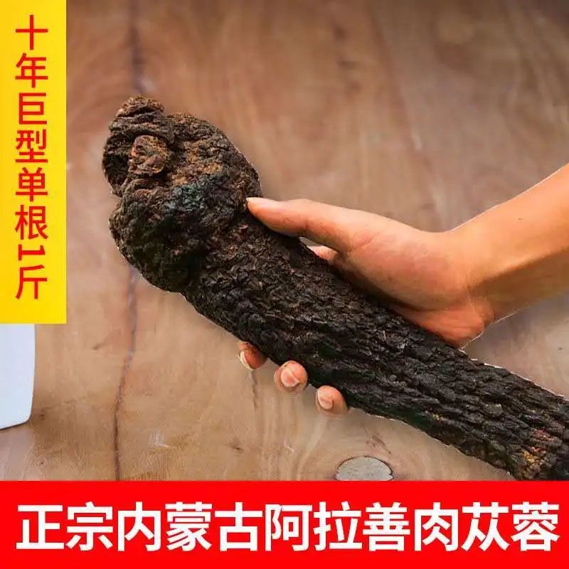 新货壮阿拉善材补/阳肉苁蓉野生/肾油从容切片泡水泡茶泡酒料