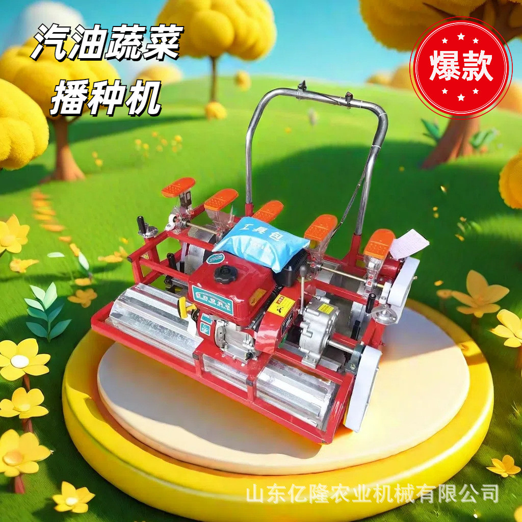 白芷紫苏桔梗播种机 香菜胡萝卜芹菜点播机 大葱洋葱育苗种植机