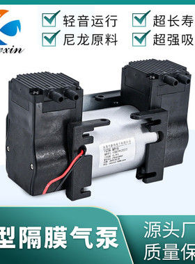 5801OPM-2微型直流真空泵12V24V220V正负压通用养生仪小双头气泵