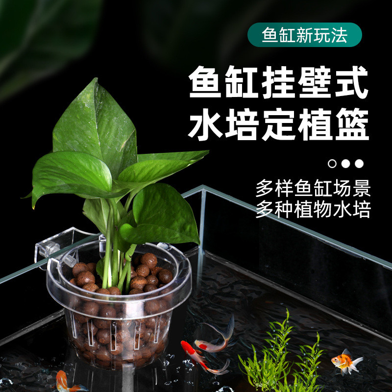 鱼缸挂壁式水培定植篮大号水草固定篮种植杯植物造景装饰一体篮