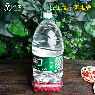 一次性透明水果包装盒带盖一斤装西瓜打包盒圣女果塑料便携果葡乐
