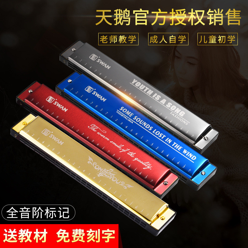天鹅牌24孔复音C调黑/蓝/红色口琴带音符/音阶标记初学演奏乐器
