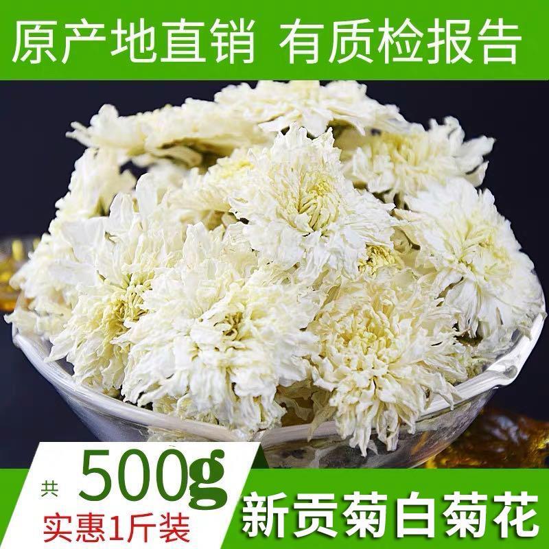 新日期白菊花茶500g黄山贡散装非下火金丝皇菊菊花茶直供茶叶包