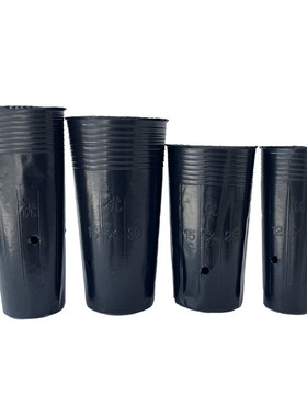 加厚型批发育苗钵细高营养钵12x25柑橘营养杯育苗杯