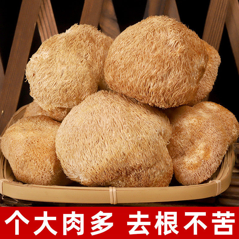 新货猴头菇干货官方旗舰店养胃粉野生菌纯长白山材粉礼盒500g
