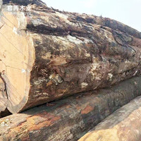 楠木非洲楠木金絲楠替代品可西浦家具材金絲楠木料大板楠木
