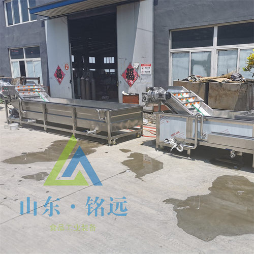 热销杏子杏干清洗风干流水线豆角花生气泡清洗机全自动木耳果蔬清