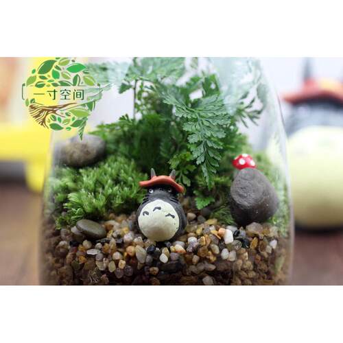 微景观微景观t新瓶diy创意礼品苔藓套装摆件