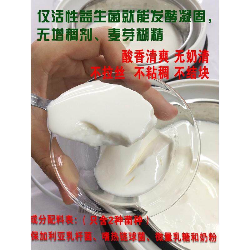 速发ii希腊酸奶发酵菌保加利亚乳杆菌儿童双歧杆菌开菲尔kefir酸