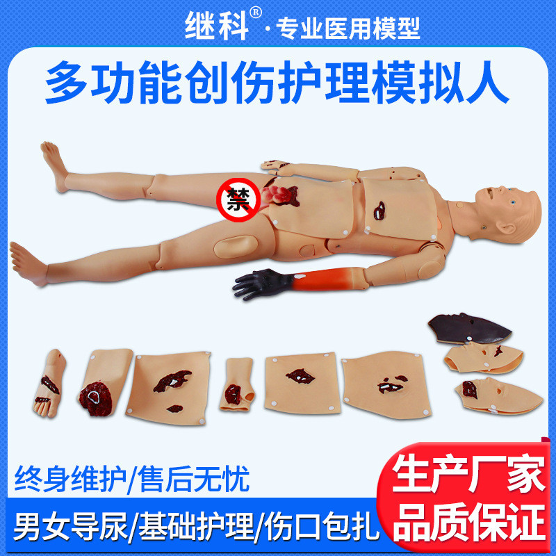 创伤护理人模型 心肺复苏急救模型 包扎假人 医教学模拟人