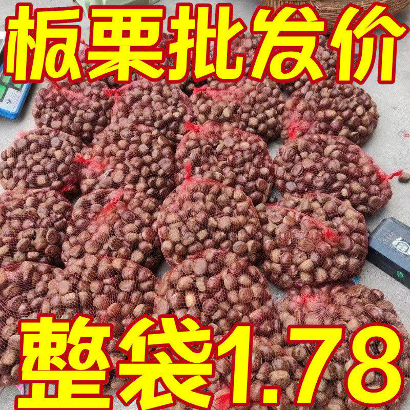 新货新鲜非现摘丹东板栗斤油栗仁蔬罗田生迁西板栗栗子锥去毛球