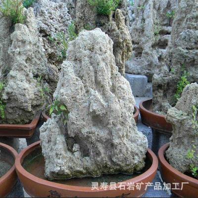 热销上水石吸水石盆景石石麦管规格齐全盆景小摆件假山石脉管石