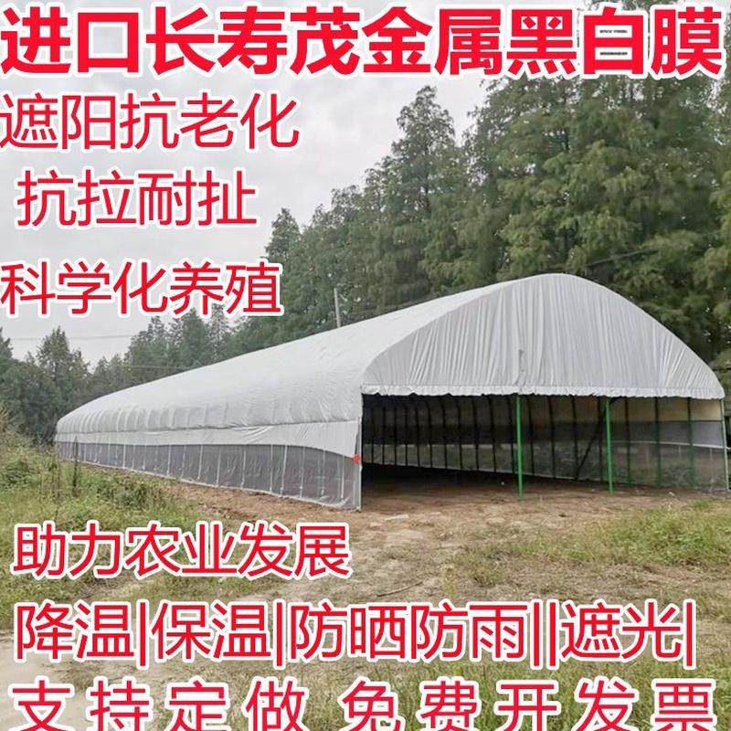 进口黑白膜绿白膜加厚养殖隔热降温保温遮阳专用大棚膜防渗土工膜