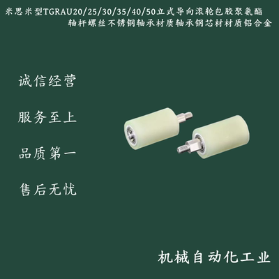 聚氨酯包胶导向滚轮TGRAU20 25 30 35 40 50-20/25/30/35/40/50
