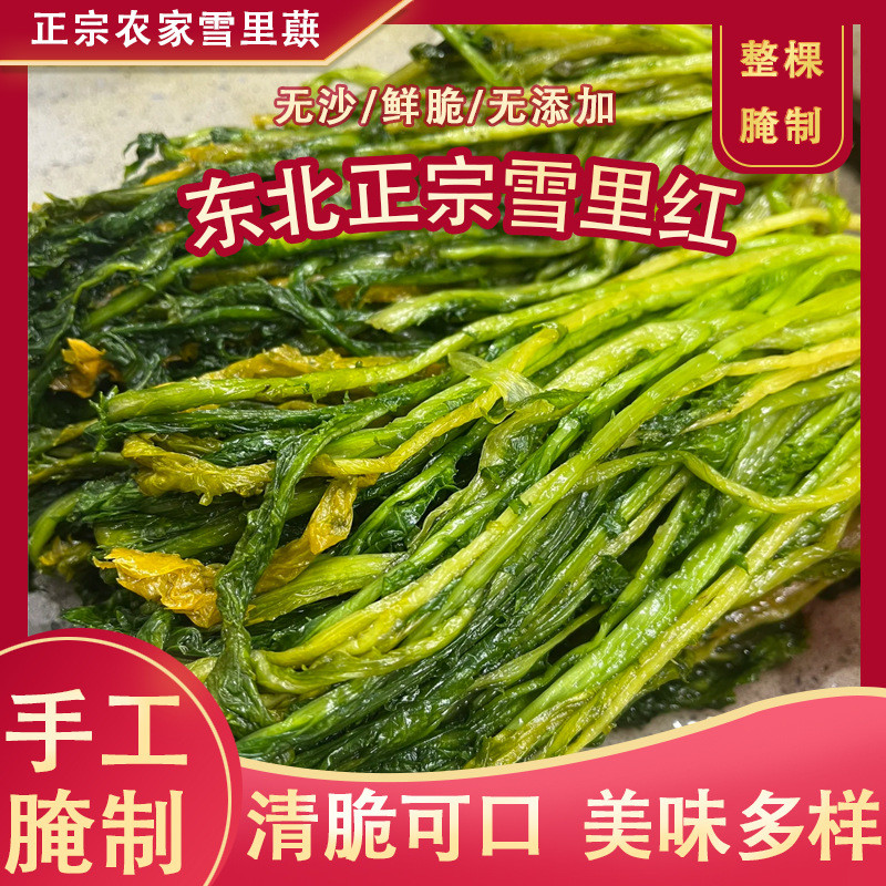 新日期正宗美味农家下饭菜雪里红雪菜腌制雪里蕻下饭开胃腌菜东北