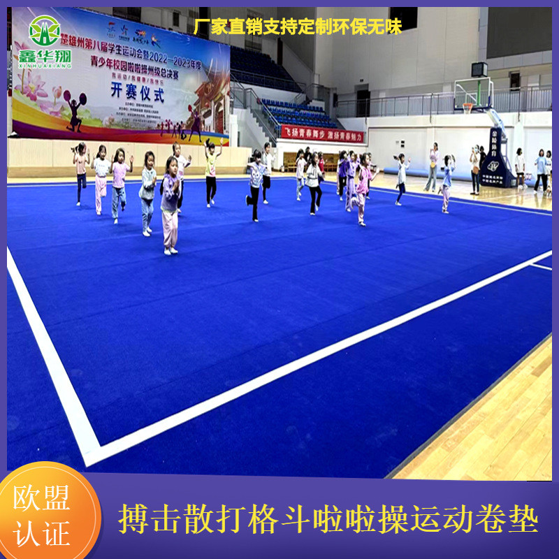 搏击格斗卷垫训练地垫健身防滑地垫拳击柔道摔跤散打跆拳道垫卷馆
