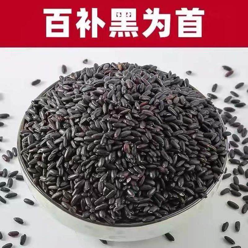 黑米500g东北五常新五谷杂粮黑糯米无染色煮粥八宝粥黑米粥黑香米