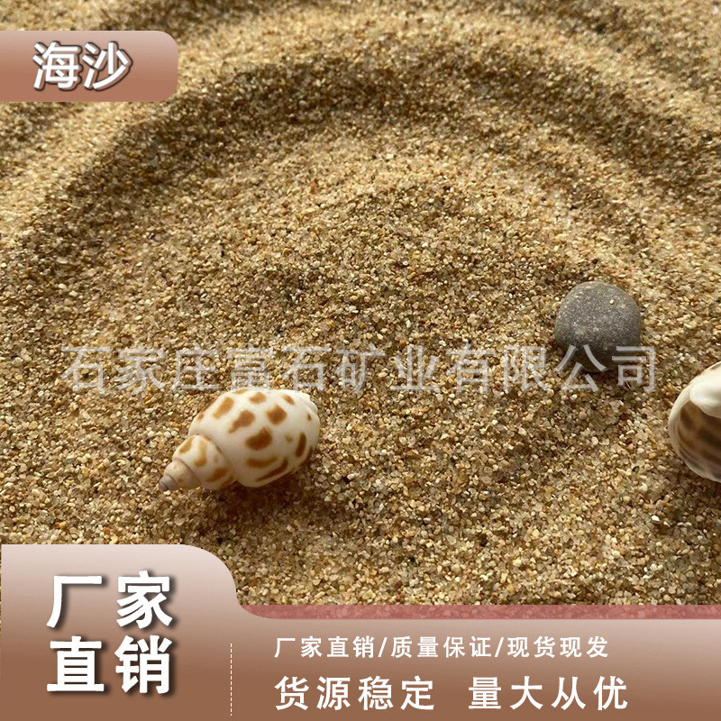 海沙花盆鱼缸造景宠物人工沙池园艺沙坑儿童沙滩厂家供应沙子海沙
