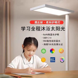 简约现代落地护眼灯防蓝光全光谱儿童学习专用台灯可升降作业灯