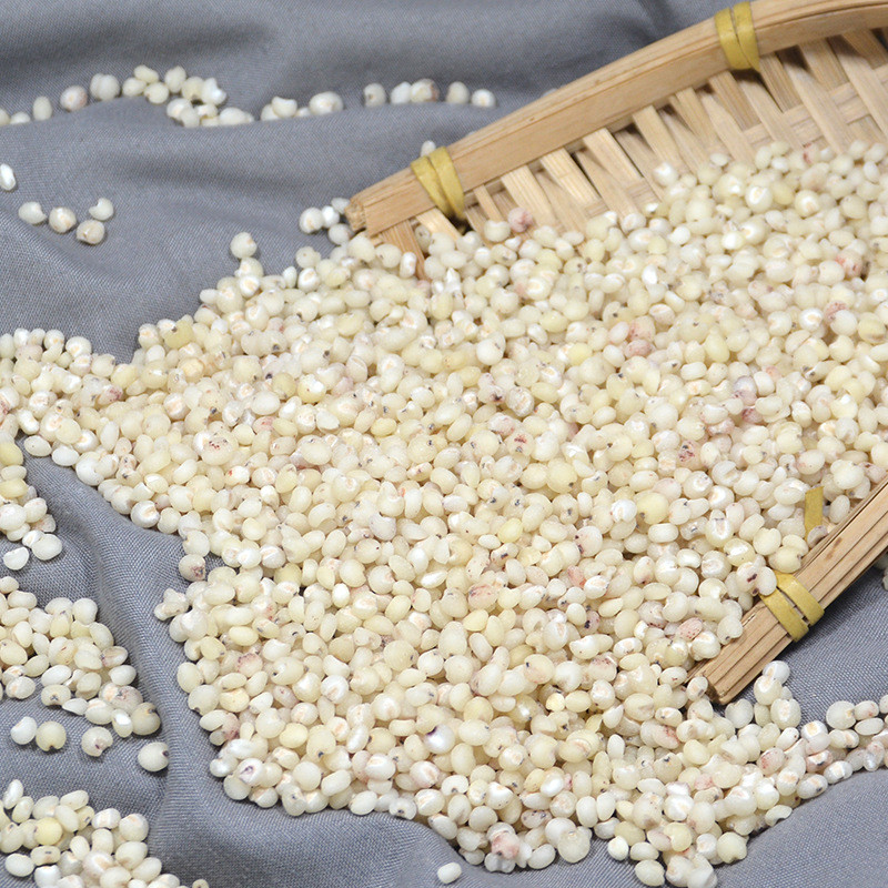 新日期东北高粱米5斤农家自产高粱米东北特产食用五谷粗粮高粱米