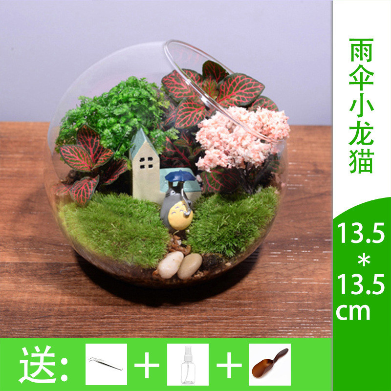 创意礼品苔藓微景观生态瓶套装绿植盆栽13斜口瓶家庭工艺品