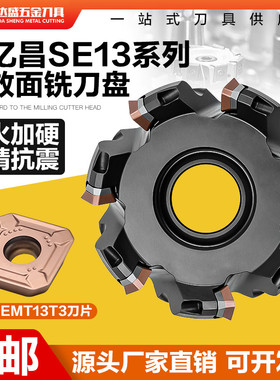 卢森堡SE13高速数控龙门面铣刀盘适配SEMT13T3刀粒