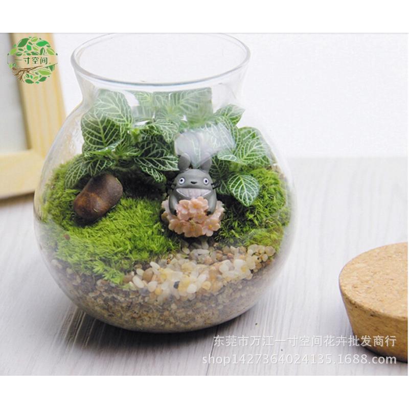 瓶微景观木塞苔藓创意礼品diy微景观套装摆件