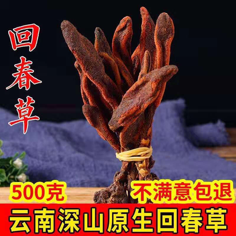新日期甄好货纯野生回春草 顶天柱不老草泡酒料起阳草50克多规格