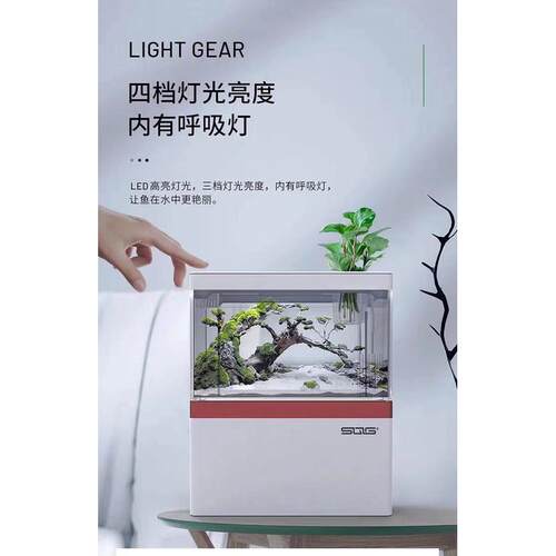 桌面小鱼缸金鱼缸斗鱼缸手机支架过滤系统LED灯光USB接口台面小缸