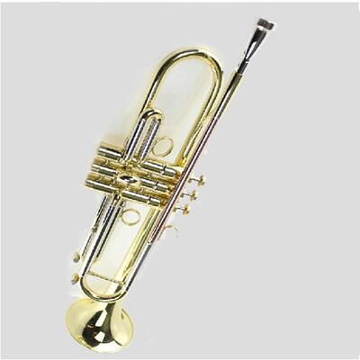 麦格维特乐器MTR-300G降B调小号乐器演奏型音乐专业亮金便携