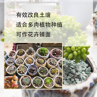 供应多肉绿沸石 水处理滤料吸氨石颗粒 园艺栽培天然铺面沸石颗粒