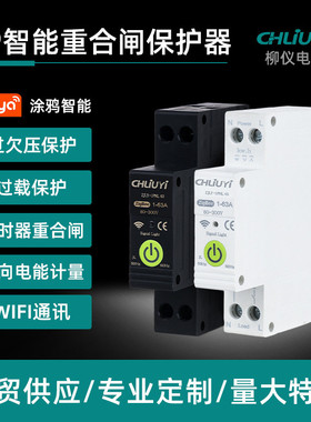 跨境TuyaWiFi远程控制断路器通断定时开关AC220V63AWCB1-T-63