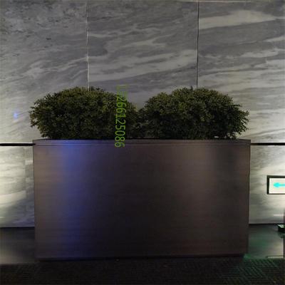 黄杨球仿真圆球形圆松针黄杨木型叶柏白蒂万年青树型假梅热带绿摆