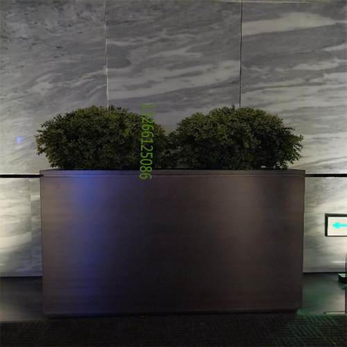 黄杨球树圆球形圆型黄杨木松针叶柏白蒂万年青仿真型假梅热带绿摆