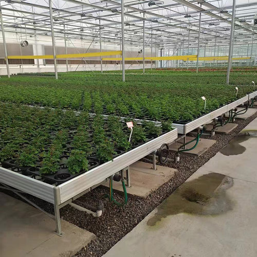 热销育苗大棚水培灌溉植物花卉种植蔬菜温室水培托盘可移动潮汐苗