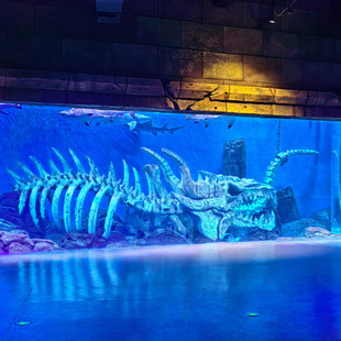 热销鱼缸亚克力大型海洋馆工程观赏鱼缸有机玻璃生态观赏餐厅鱼缸